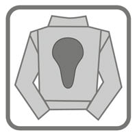 removable back protector removable back protector